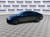 Certified 2025 Hyundai Elantra Sport image 5