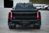 Used 2025 Ford F450 Platinum image 6
