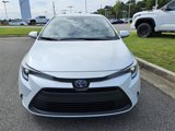 Used 2025 Toyota Corolla XLE image 2