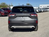 Used 2021 Ford Escape SE image 5