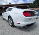 Used 2019 Ford Mustang Coupe image 2