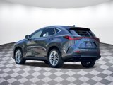 New 2025 Lexus NX 300h AWD w/ Luxury Package image 4