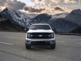 New 2025 Ford F150 XLT w/ Equipment Group 302A MID image 6