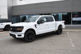 New 2025 Ford F150 XLT w/ Equipment Group 303A High image 2