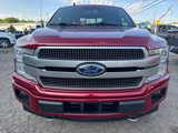 Used 2019 Ford F150 Platinum w/ Equipment Group 701A Luxury image 4