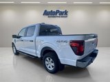 New 2025 Ford F150 XL w/ Equipment Group 103A High image 5