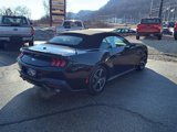 Used 2024 Ford Mustang Premium image 5