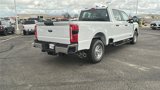 New 2025 Ford F250 XL image 3