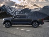 New 2025 Ford F250 Platinum w/ Tremor Off-Road Package image 3