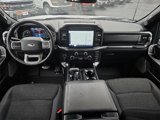Certified 2022 Ford F150 XLT w/ Equipment Group 302A High image 2
