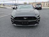 Certified 2023 Ford Mustang Premium image 3