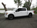 Used 2023 Ford F150 4x4 SuperCrew image 3