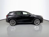 New 2026 Lexus NX 350 AWD w/ Luxury Package image 4