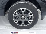 New 2025 Ford F150 STX w/ Equipment Group 200A image 5