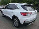 Used 2022 Ford Escape SEL image 3