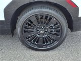 New 2025 Hyundai Santa Fe Calligraphy image 5