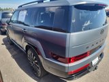 New 2025 Hyundai Santa Fe Calligraphy image 2