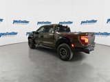 New 2025 Ford F150 Raptor image 6