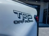 Used 2025 Toyota Tacoma TRD Off-Road image 5