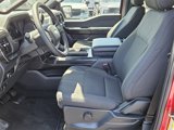 Used 2024 Ford F150 STX w/ STX Black Appearance Package image 4
