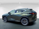 New 2026 Lexus NX 350h AWD w/ Premium Package image 6