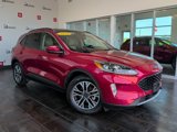 Used 2020 Ford Escape SEL image 2