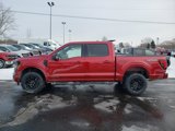 New 2025 Ford F150 XLT w/ Equipment Group 302A MID image 5