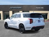 New 2025 Hyundai Palisade Calligraphy image 3