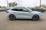 New 2025 Ford Escape ST-Line Elite image 6