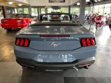 Used 2024 Ford Mustang Premium image 6