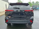 Certified 2023 Toyota Highlander XLE image 5