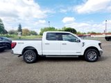 New 2025 Ford F150 XLT w/ Equipment Group 303A High image 4