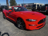 Used 2022 Ford Mustang Premium image 2