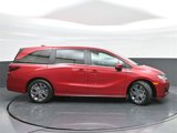 New 2025 Honda Odyssey Touring image 4