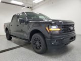 New 2025 Ford F150 XLT w/ Equipment Group 302A MID image 2