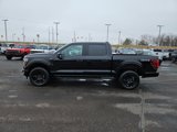 New 2025 Ford F150 Platinum image 4