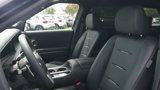 New 2026 Hyundai Palisade Calligraphy image 6