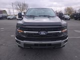 New 2024 Ford F150 XLT w/ Equipment Group 303A High image 3