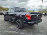 New 2025 Ford F150 XLT image 3