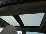 Used 2023 Nissan Rogue SL w/ SL Premium Package image 6