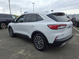 Certified 2022 Ford Escape SEL image 5
