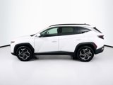 Used 2024 Hyundai Tucson Limited image 4