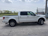 Used 2014 Ford F150 Platinum image 2