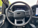 New 2025 Ford F150 XLT w/ Equipment Group 303A High image 4