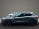Used 2020 Ford Escape SE image 4