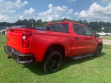 Used 2020 Chevrolet Silverado 1500 LT Trail Boss image 6