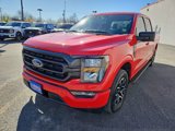 Used 2023 Ford F150 XLT w/ Equipment Group 301A Mid image 4