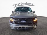New 2025 Ford F150 XLT w/ Equipment Group 303A High image 2