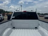 New 2025 Ford F150 XLT w/ Equipment Group 302A MID image 6
