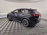New 2026 Lexus NX 350 AWD w/ Premium Package image 4